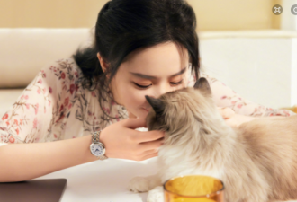 刘亦菲最新美照曝光，逗猫看书超惬意