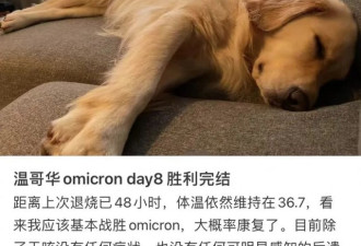多名华人分享自己感染Omicron经历