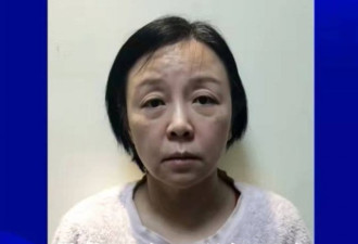湖南株洲警方打掉涉黑恶团伙:为首者系50岁女性