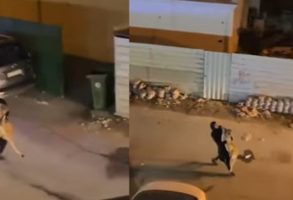 视频疯传：狮子街上乱窜 女子竟霸气抱起来就走