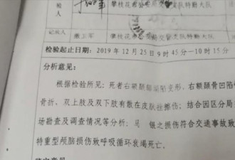 男子醉驾撞灯杆身亡 妻子诉哥哥等4酒友索赔