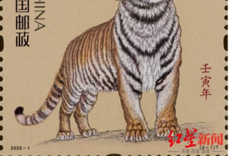 生肖邮票“老虎一脸衰” 遭吐槽像病猫
