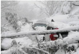 疯追雪酿惨剧 这国上千辆车受困 多人被埋