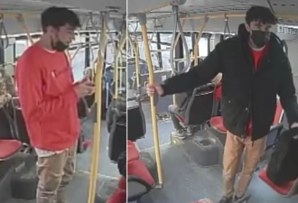 女子乘TTC公车无故被袭击