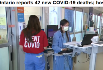 安省报告42例死亡！下周住院人数到顶峰