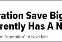 英媒:约翰逊发起自救行动,代号“拯救大狗”