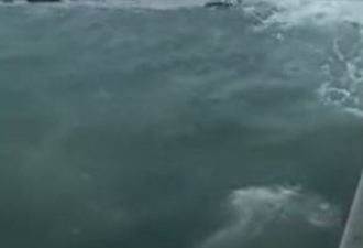 火山爆发海啸袭厄瓜多尔 渔船拍下惊悚巨浪