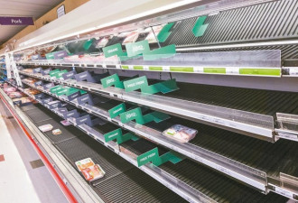 美国强大冬季风暴 供应链冻结 超市货架空荡荡