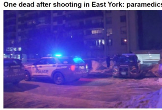 多伦多东约克枪击一人死亡