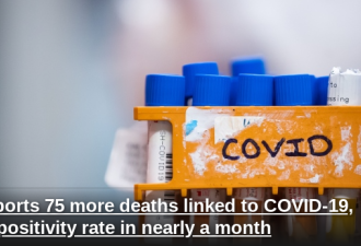 安省单日死亡75人 阳性率降到近一个月最低值