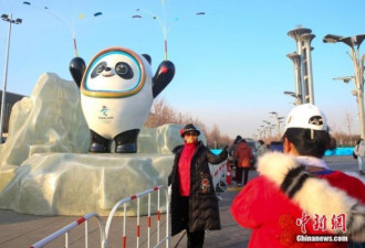 从盼盼到冰墩墩 大熊猫为什么是公认的中国形象