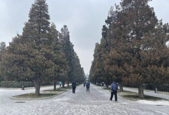 北京大寒降雪 市民大排长龙却不为赏雪…