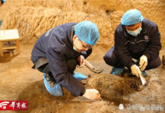 秦陵考古新发现：陵园外城东门曾被烧