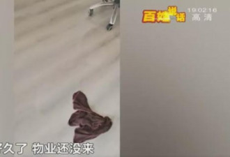 新房被粪水浸泡业主边哭边舀 开发商令她崩溃