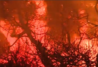 大规模山火席卷美国加州 恐怖场景曝光