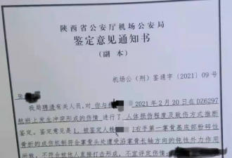 航空机长与乘务员空中互殴:取保未起诉