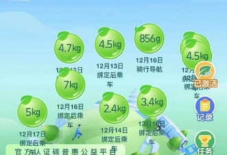 激励绿色出行 北京将探索研究个人碳账户