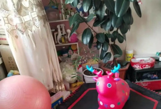 哈尔滨站台泪别：孙女来自北京 下车即劝返