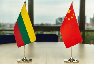 德语媒体：在立陶宛问题上，北京打错了算盘