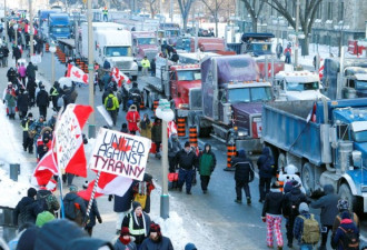 卡车联盟紧急切割：部分抗议者与运输行业无关