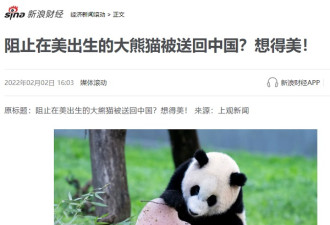 海外出生也是中国的！美国不还大熊猫？想得美