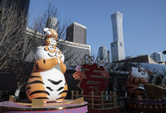 虎年春节：全球各地如何迎接农历新年