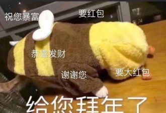 上海压岁钱有多壕?阿姨: 给孙子5000打底