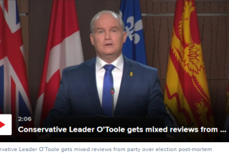 加拿大保守党魁奥图尔地位岌岌可危 或下台