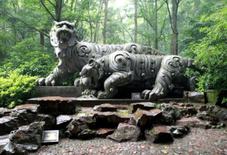 细数中国那些以“虎”为名的风景名胜