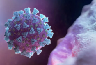 感染新冠的HIV患者容易产生新冠病毒变异