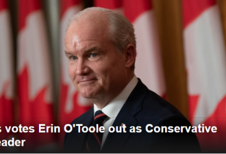加拿大保守党将党领袖奥图尔赶下台