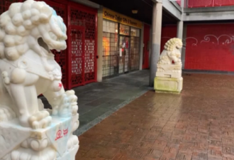 温哥华中华文化中心狮子雕像遭涂漆