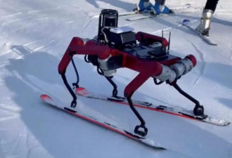 AI教练、机器人、氢能车:这届冬奥科技有多酷