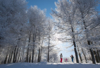 冬奥小城崇礼：北京滑雪圈私藏的“后花园”