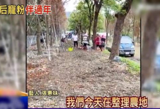 张惠妹春节陪家人干农活 打扮朴素似工人