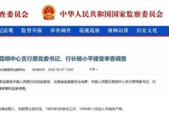 虎年第一位小老虎落马 曾任全国人大代表