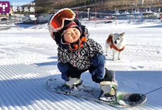 1岁滑雪宝贝走红 妈妈:狗狗是流浪狗