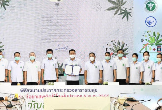 泰国公卫部长签署公文 宣告大麻合法化