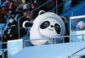高铁乘务成冰墩代购:每天三四十人加微信