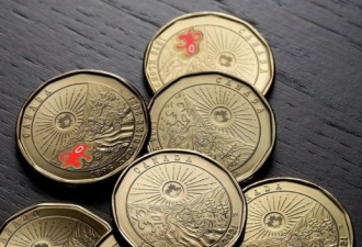 加拿大全新1元硬币超漂亮，还有彩色版