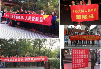 客观评价者薄熙来 --“党内”起义者
