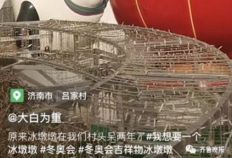 冰墩墩在村口"看大棚" 村领导连夜拖走
