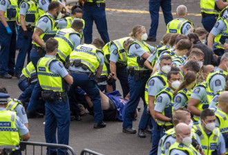 新西兰国会外示威 全裸女遭警扯发拖走