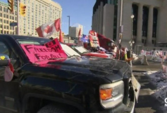 加拿大国会辩论取消 抗议组织者被控今日出庭