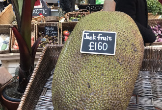 在巴西1美元的水果 到了伦敦售价逾200美元