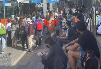 悉尼华人怒批火车罢工 网约车趁火打劫