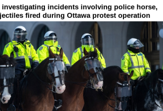 渥太华示威两起警民冲突案 SIU介入