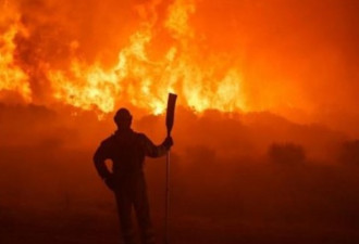 联合国：全球极端野火数量将剧增 各国措手不及