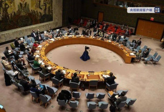 刚刚！中国常驻联合国代表就乌东局势表态！