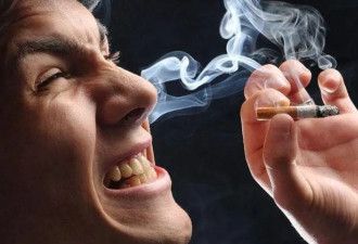 人体一天可以承受多少支香烟？